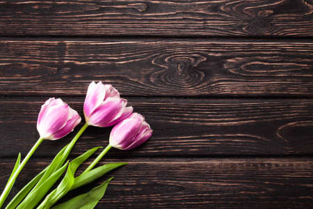Bouquet tulip on wood backgroundの写真素材