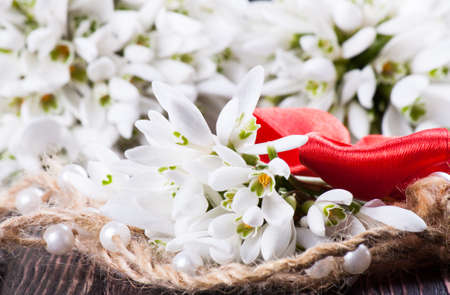 snowdrops bunch on wooden backgroundの写真素材