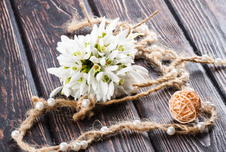 snowdrops bunch on wooden backgroundの写真素材