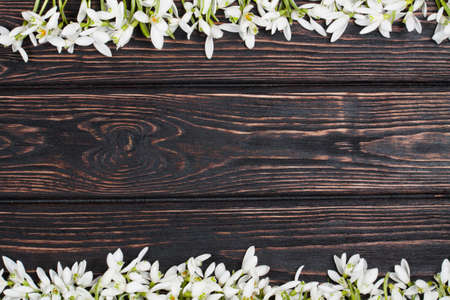 snowdrops bunch on wooden backgroundの写真素材