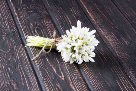 snowdrops bunch on wooden backgroundの写真素材