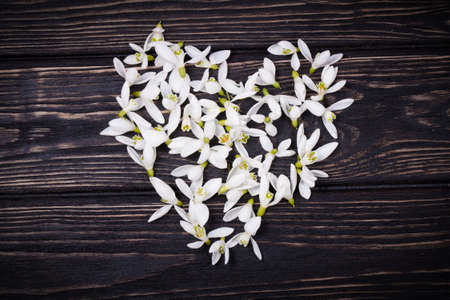 Floral heart with snowdrops on wood backgroundの写真素材