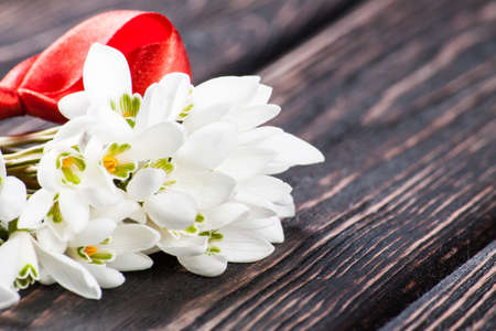 snowdrops bunch on wooden backgroundの写真素材