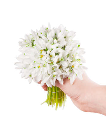snowdrop bouquet hold hand on white backgroundの写真素材