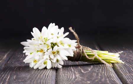 snowdrops bunch on wooden backgroundの写真素材