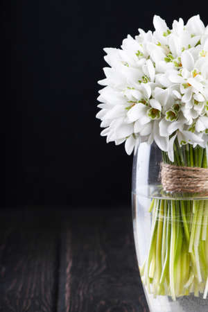 bouquet of snowdrops in vase on wooden boardsの写真素材