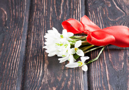 snowdrops bunch on wooden backgroundの写真素材