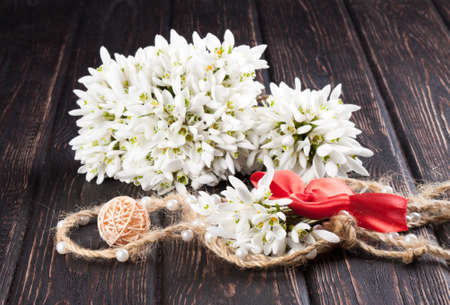 snowdrops bunch on wooden backgroundの写真素材