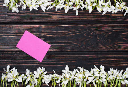 snowdrops bunch on wooden backgroundの写真素材