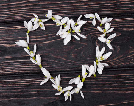 Floral heart with snowdrops on wood backgroundの写真素材