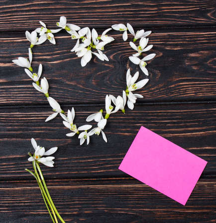 snowdrops bunch on wooden backgroundの写真素材
