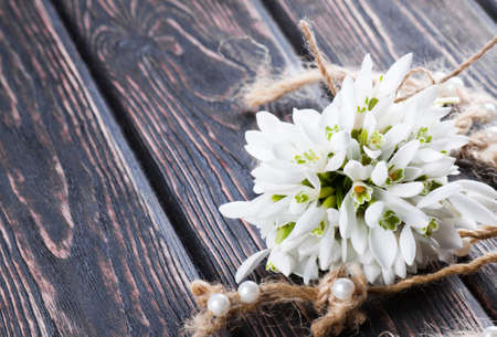snowdrops bunch on wooden backgroundの写真素材