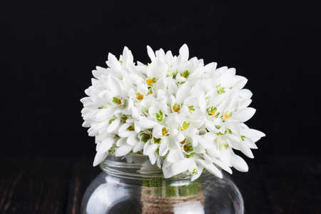 bouquet of snowdrops in vase on wooden boardsの写真素材