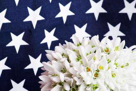 bouquet of snowdrops in vase on american backgroundの写真素材