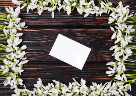 snowdrops bunch on wooden backgroundの写真素材