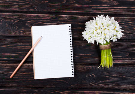 snowdrops bunch on wooden backgroundの写真素材