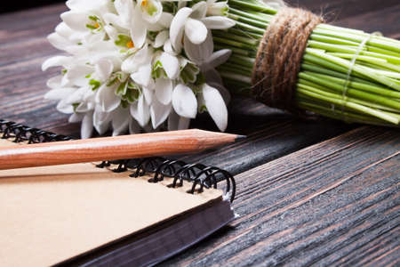 snowdrops bunch on wooden backgroundの写真素材