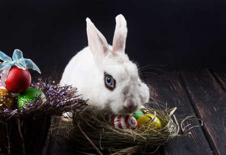 Easter rabbit sits with colored eggs on wood desk