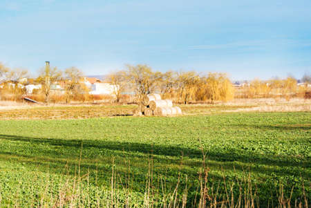 A pyramid of hay with the blue cloudy sky in the backgroundの写真素材