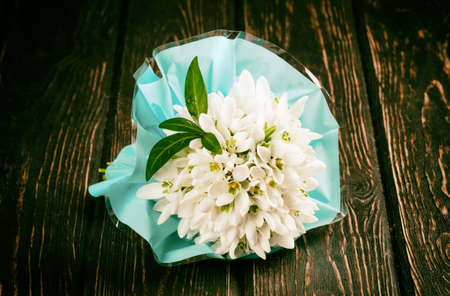 snowdrops bunch on wooden background. Retro photoの写真素材