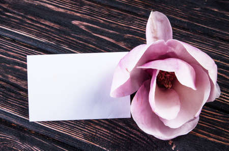 magnolia fresh spring flowers on wooden background with card, retro tonedの写真素材