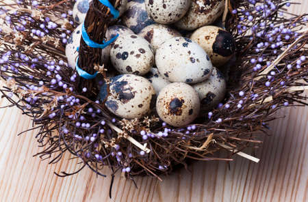 Quail eggs in a nest on a wooden background