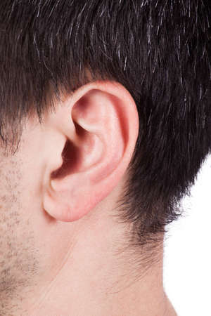 Closeup of a perfect human ear