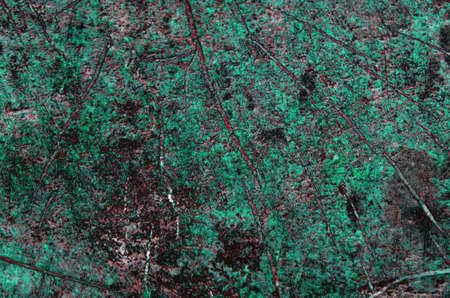 Designed grunge paper texture. Scratched backgroundの写真素材