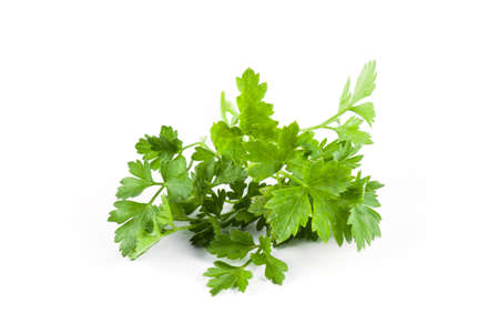 Fresh parsley isolated on white background
