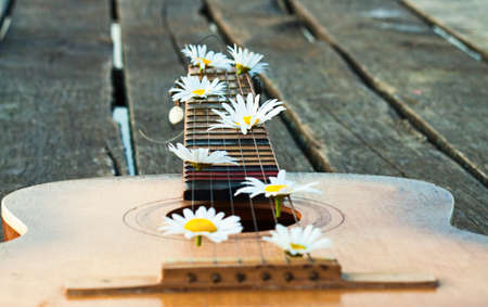 Guitar on the river dock. Nature landscapeの写真素材