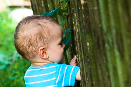 The child looks over the fence.の写真素材