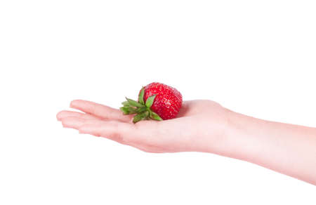 Ripe fresh strawberry in hand on a white backgroundの写真素材