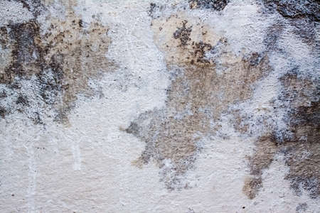 Designed grunge paper texture, backgroundの写真素材