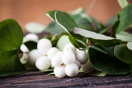 White snow berries on wooden background.の写真素材