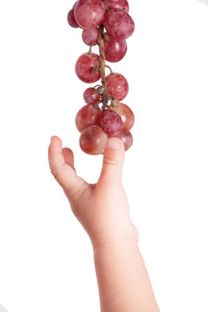 Fresh red grapes in hand isolated on white backgroundの写真素材
