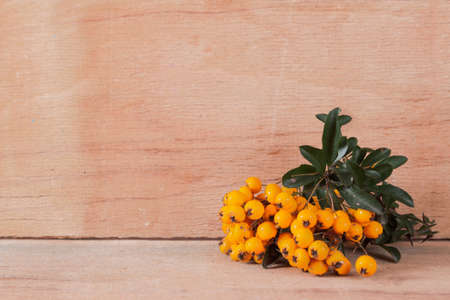 Pyracantha isolated on wood background.の写真素材