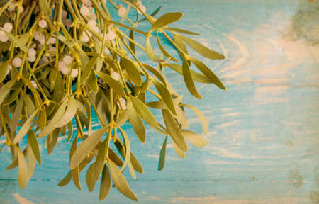 Broom from green mistletoe on wood desk. Nature background. Christmas plantの写真素材