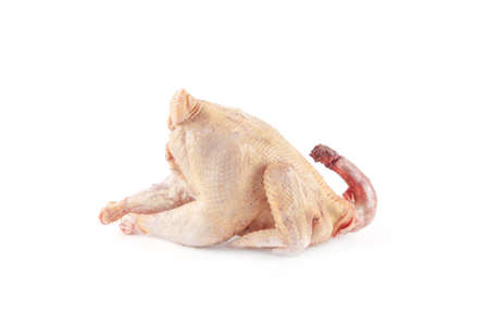 Chicken carcass isolated on white background. Food ingredient. Cookingの写真素材