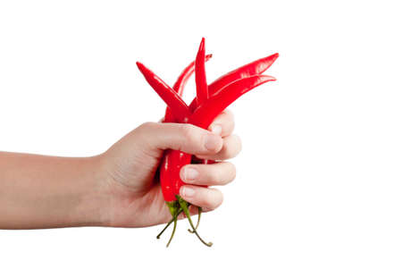 Red fresh chili in hand isolated on white backgroundの写真素材