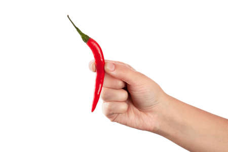 Red fresh chili in hand isolated on white backgroundの写真素材