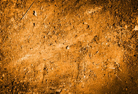 Designed grunge paper texture. Old retro backgroundの写真素材