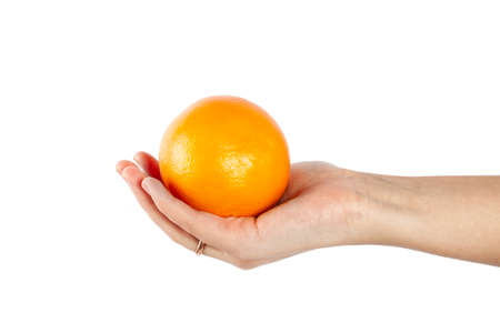 Orange fruit holding hand isolated on white background. Fresh fruitsの写真素材