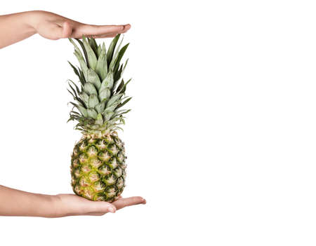 Ripe fresh pineapple in woman hand  isolated on white background. Fruitsの写真素材