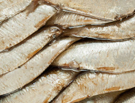 Open can of sprats and other canned smoked fishの写真素材