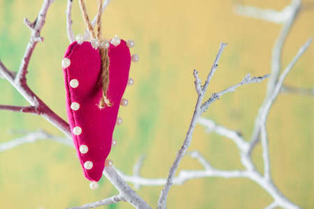Heart from clothing on wood branch. Valentines day. International Women's Dayの写真素材