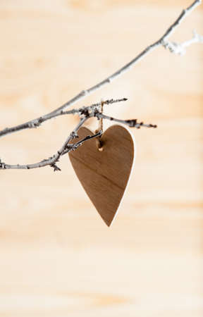 Heart from clothing on wood branch. Valentines day. International Women's Dayの写真素材