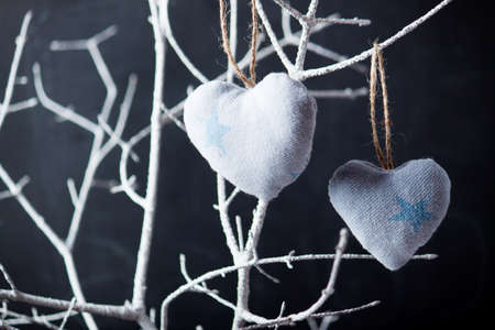 Heart from cloth on white branch. Valentines day backgroundの写真素材