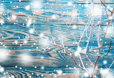 Heart from cloth on white branch. Valentines day backgroundの写真素材