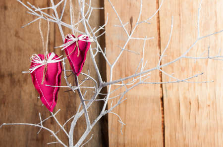 Heart from cloth on white branch. Valentines day backgroundの写真素材