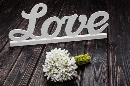 Snowdrop close up on wood desk. Nature backgroundの写真素材